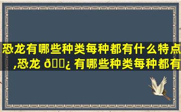 恐龙有哪些种类每种都有什么特点,恐龙 🌿 有哪些种类每种都有什么特点和特点